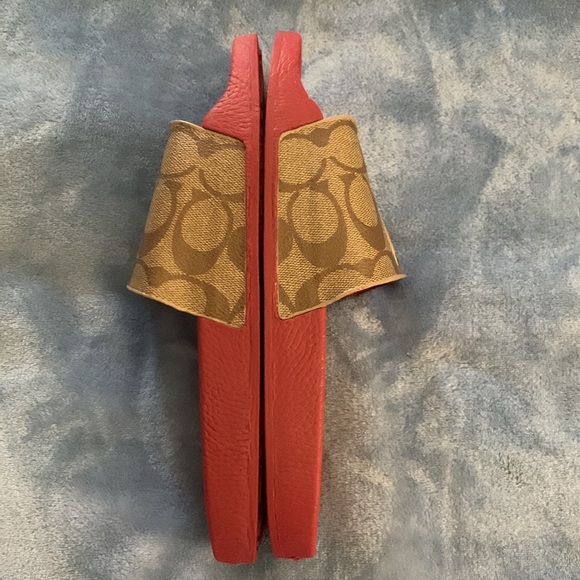 Coach slides - Picture 6 of 7